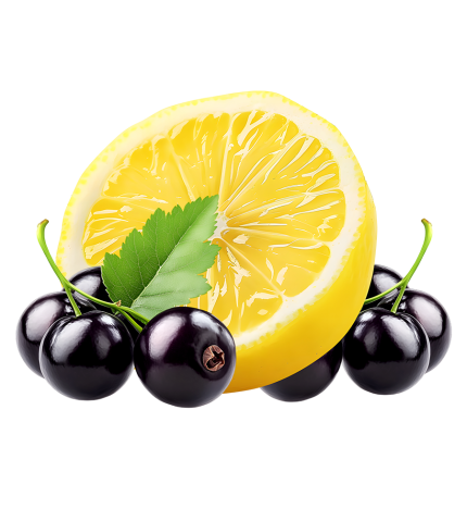 Parfum automobile CITRON CASSIS – Image 2