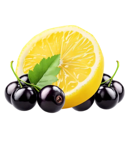 Parfum voiture CITRON CASSIS - الصورة 2