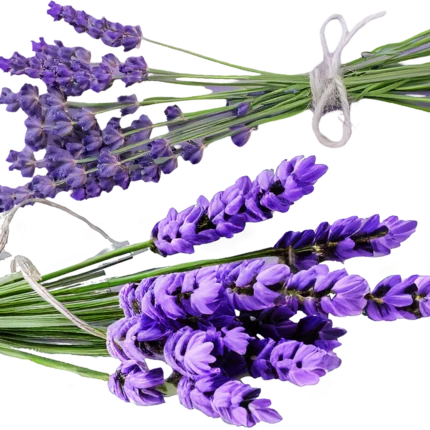 Parfum voiture LAVANDE – Image 2