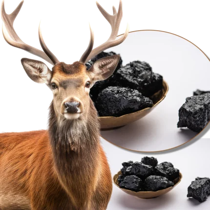 ⁦Fragrance voiture MUSK NOIR⁩ - الصورة ⁦3⁩