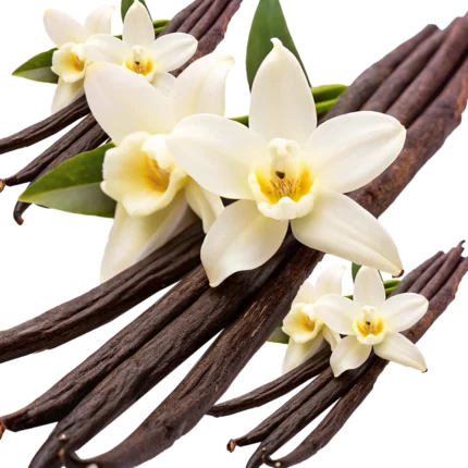 Parfum voiture VANILLE – Image 2