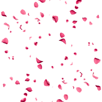 ⁦Parfum d'ambiance SOFT PETALS⁩ - الصورة ⁦2⁩